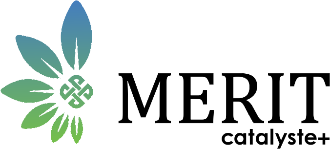 MERIT